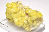 Lustrous Yellow Sulfur Crystals on Calcite - Poland #206043-2